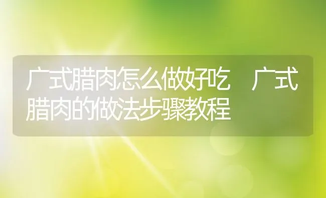 广式腊肉怎么做好吃 广式腊肉的做法步骤教程 | 养殖资料投稿