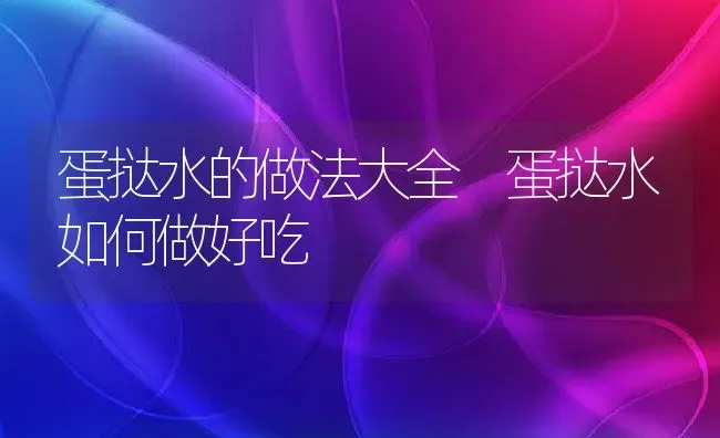 蛋挞水的做法大全 蛋挞水如何做好吃 | 养殖资料投稿