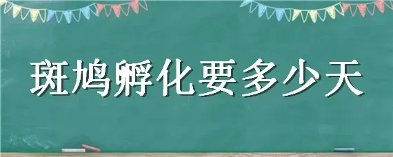 斑鸠孵化要多少天