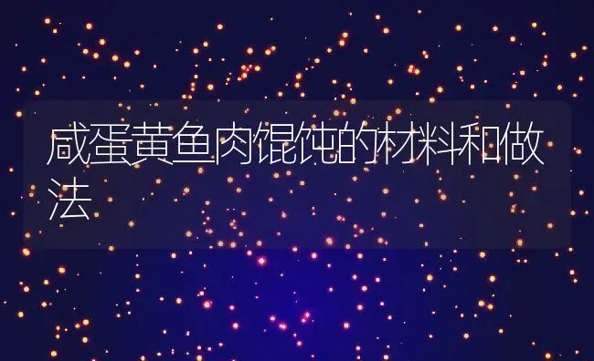 咸蛋黄鱼肉馄饨的材料和做法 | 养殖资料投稿