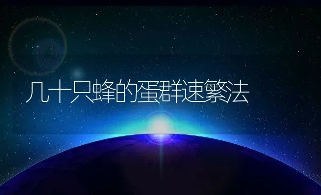 几十只蜂的蛋群速繁法 | 养殖资讯