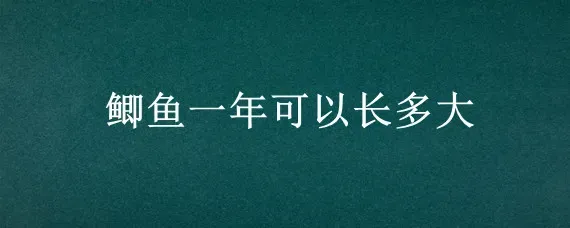 鲫鱼一年可以长多大