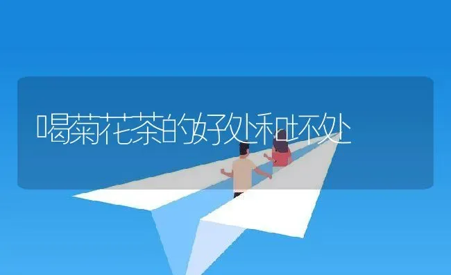 喝菊花茶的好处和坏处 | 养殖资料投稿