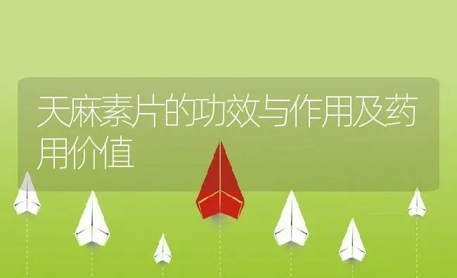 天麻素片的功效与作用及药用价值 | 养殖资料投稿