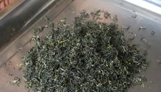 碎铜茶的功效与作用 碎铜茶有什么危害