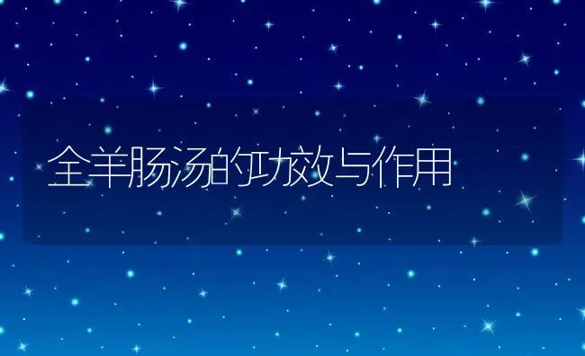 全羊肠汤的功效与作用 | 养殖资料投稿