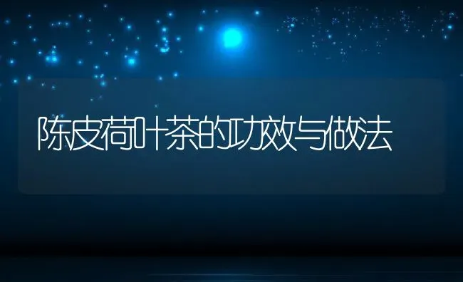 陈皮荷叶茶的功效与做法 | 养殖资料投稿