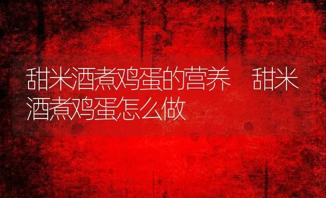 甜米酒煮鸡蛋的营养 甜米酒煮鸡蛋怎么做 | 养殖资料投稿