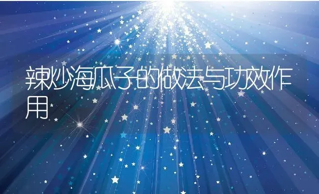 辣炒海瓜子的做法与功效作用 | 养殖资料投稿