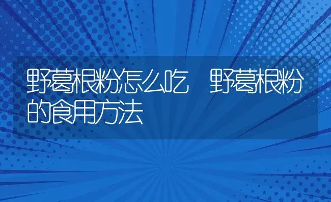 野葛根粉怎么吃 野葛根粉的食用方法 | 养殖资料投稿