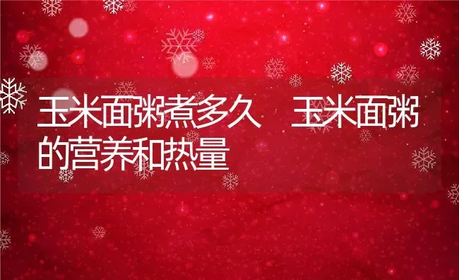 玉米面粥煮多久 玉米面粥的营养和热量 | 养殖资料投稿