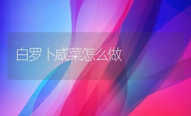 白罗卜咸菜怎么做 | 养殖资料投稿