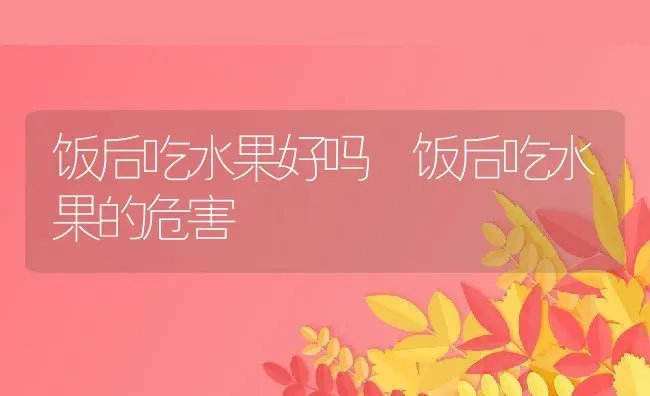 饭后吃水果好吗 饭后吃水果的危害 | 养殖资料投稿