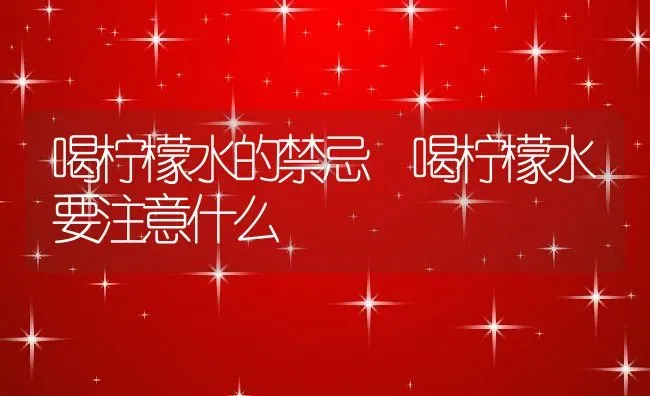 喝柠檬水的禁忌 喝柠檬水要注意什么 | 养殖资料投稿