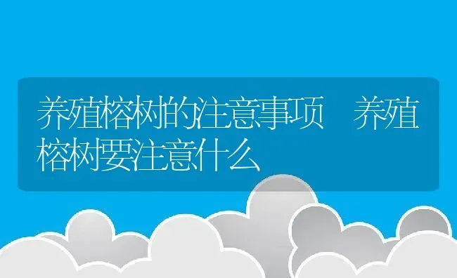 养殖榕树的注意事项 养殖榕树要注意什么 | 养殖资料投稿