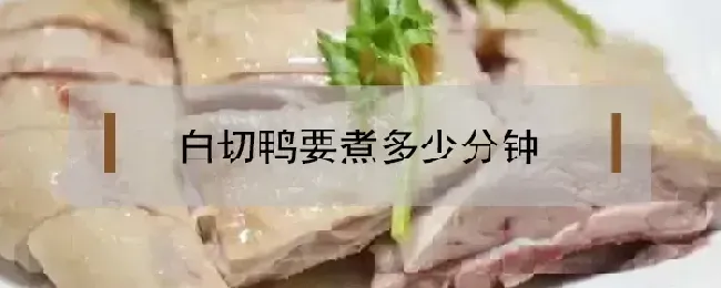 白切鸭要煮多少分钟