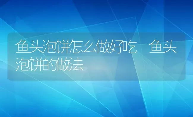 鱼头泡饼怎么做好吃 鱼头泡饼的做法 | 养殖资料投稿