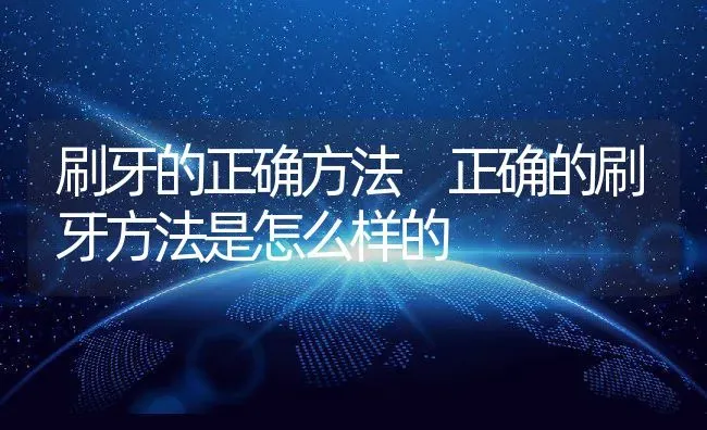 刷牙的正确方法 正确的刷牙方法是怎么样的 | 养殖资料投稿