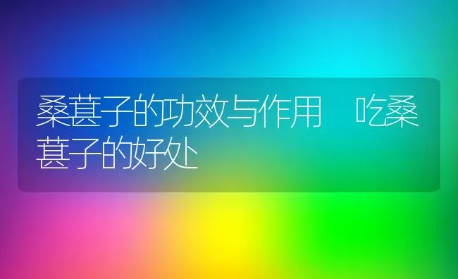 田三七的功效与作用及禁忌 | 养殖资料投稿