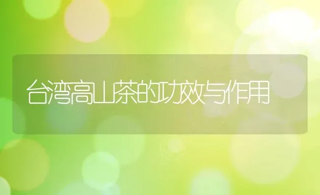 肾豆怎么吃 肾豆不能与什么一起吃 | 养殖资料投稿