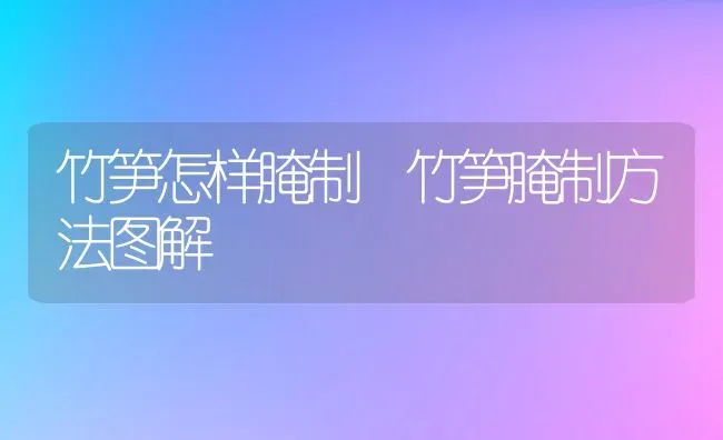 竹笋怎样腌制 竹笋腌制方法图解 | 养殖资料投稿