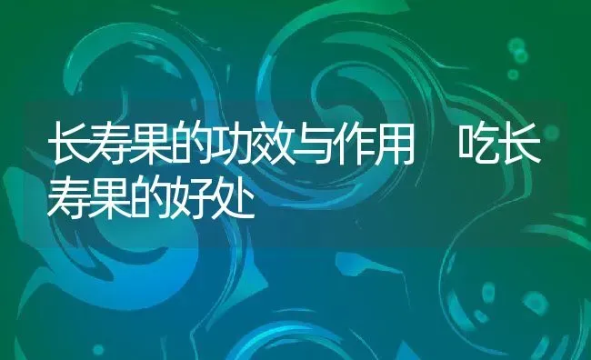 长寿果的功效与作用 吃长寿果的好处 | 养殖资料投稿