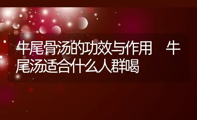 牛尾骨汤的功效与作用 牛尾汤适合什么人群喝 | 养殖资料投稿