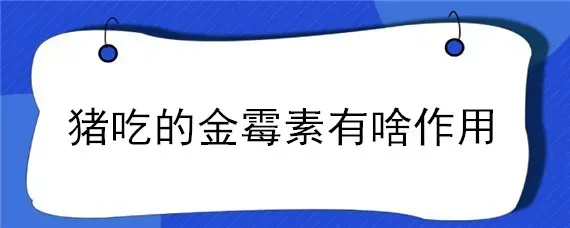 猪吃的金霉素有啥作用