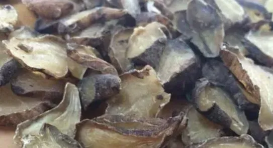 附子片的功效与作用