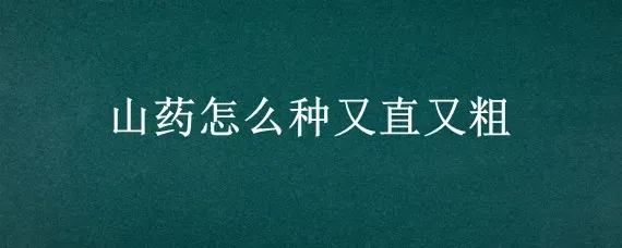 山药怎么种又直又粗