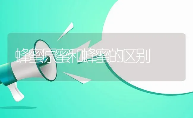 蜂蜜原蜜和蜂蜜的区别 | 养殖资料投稿