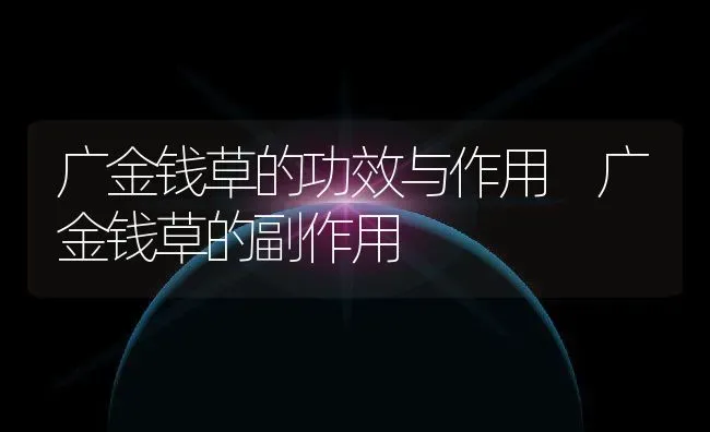 广金钱草的功效与作用 广金钱草的副作用 | 养殖资料投稿