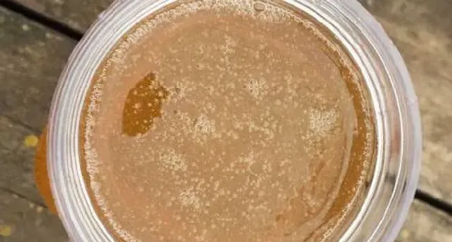 正宗荔枝蜂蜜价格多少钱一斤？