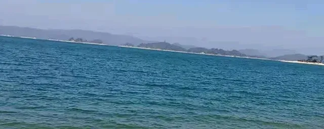 太阳鱼多少钱一斤