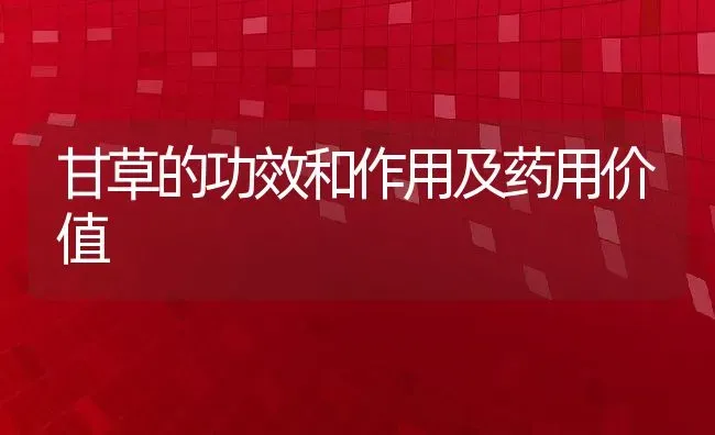甘草的功效和作用及药用价值 | 养殖资料投稿