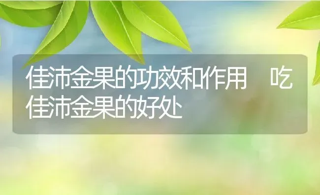 佳沛金果的功效和作用 吃佳沛金果的好处 | 养殖资料投稿