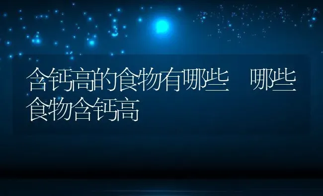 含钙高的食物有哪些 哪些食物含钙高 | 养殖资料投稿
