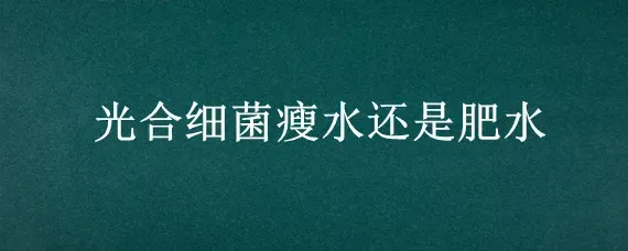 光合细菌瘦水还是肥水