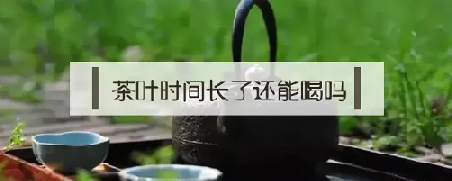 茶叶时间长了还能喝吗