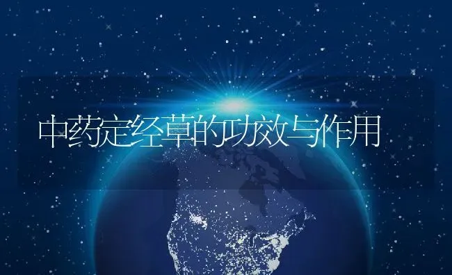 中药定经草的功效与作用 | 养殖资料投稿