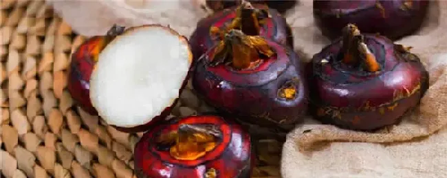 荸荠土传病害怎么治