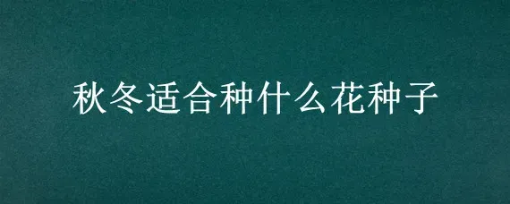 秋冬适合种什么花种子