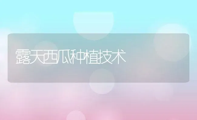 露天西瓜种植技术 | 养殖资料投稿