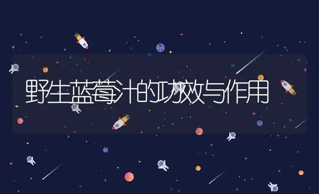 野生蓝莓汁的功效与作用 | 养殖资料投稿