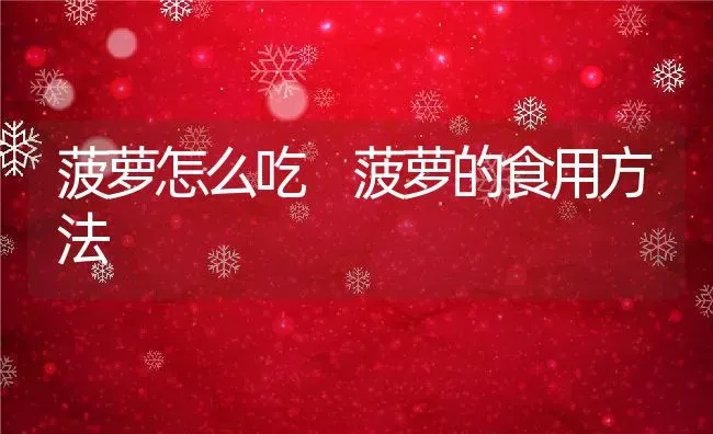 菠萝怎么吃 菠萝的食用方法 | 养殖资料投稿