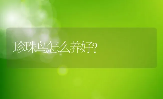 珍珠鸟怎么养好? | 养殖资讯