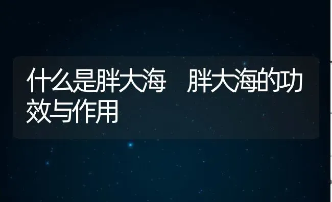 什么是胖大海 胖大海的功效与作用 | 养殖资料投稿