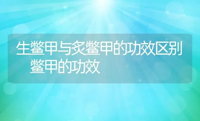 生鳖甲与炙鳖甲的功效区别 鳖甲的功效 | 养殖资料投稿
