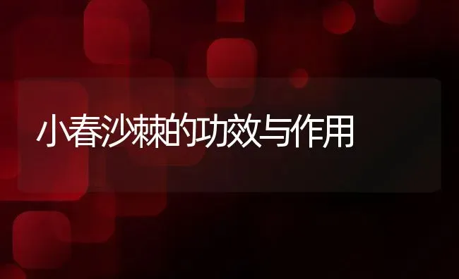 小春沙棘的功效与作用 | 养殖资料投稿