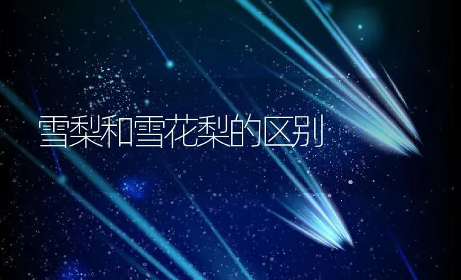 雪梨和雪花梨的区别 | 养殖资料投稿